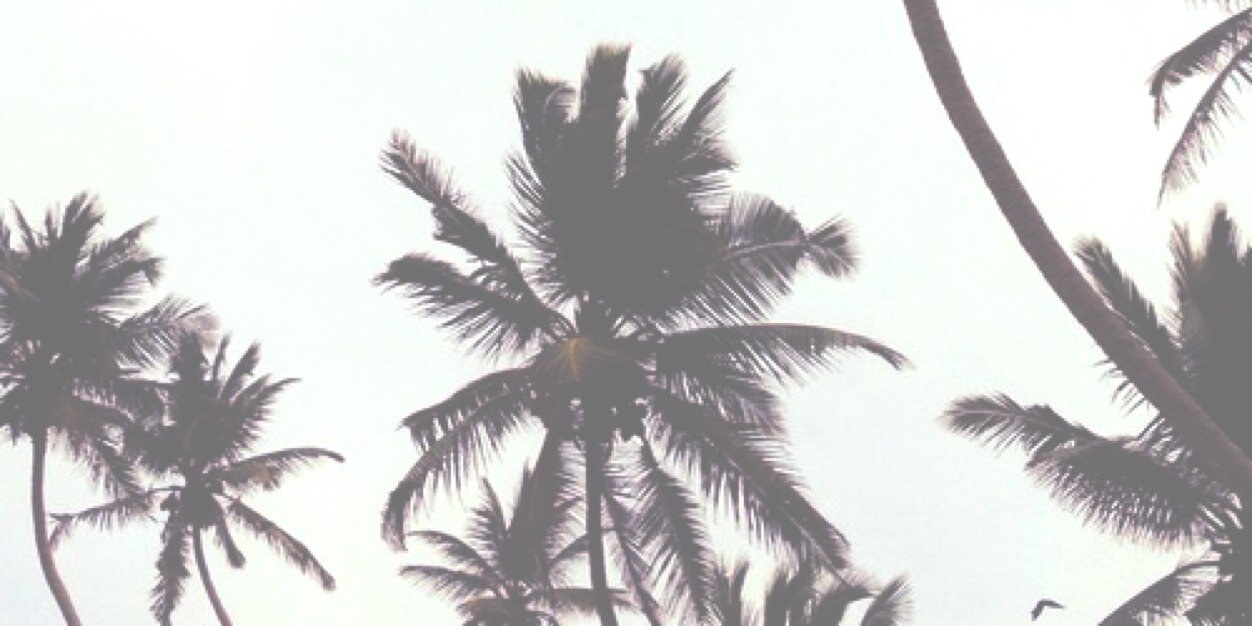 ACIDMOFO's profile banner image