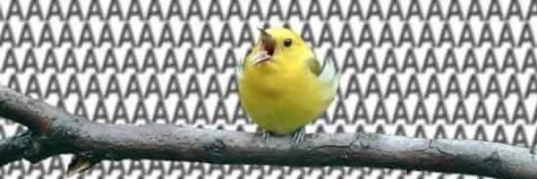 danitron Profile Banner