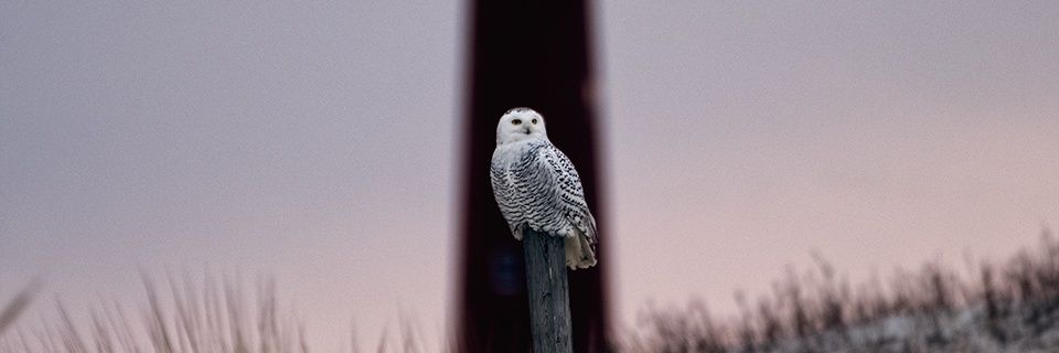 Paul_Barber1's profile banner image