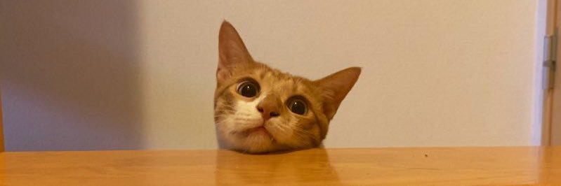 pux2886's profile banner image