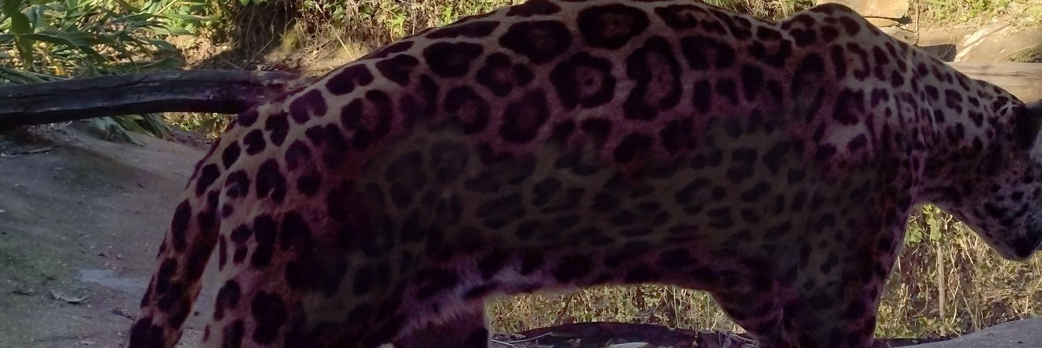 baioco_j's profile banner image