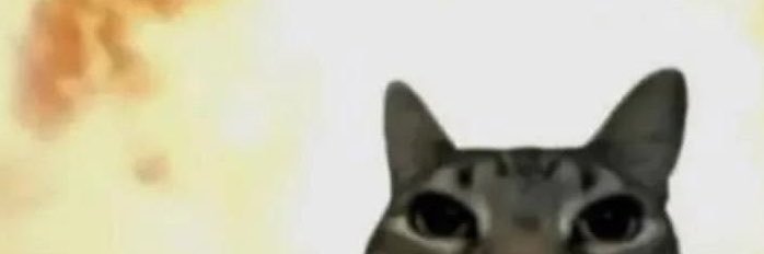 yah00ii's profile banner image