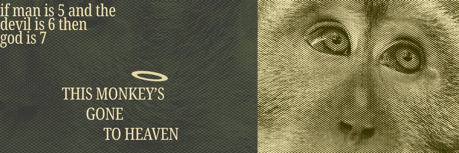 🫀🩻🌟🪽 banner