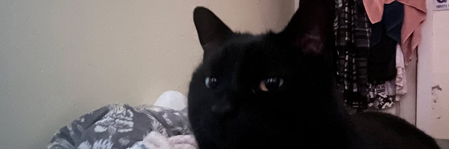 Marayyaaaa's profile banner image