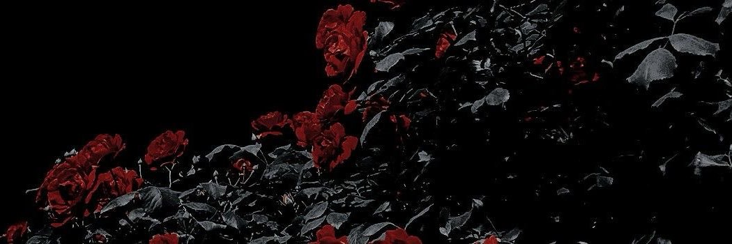 𝕽𝖔𝖟𝖊 banner