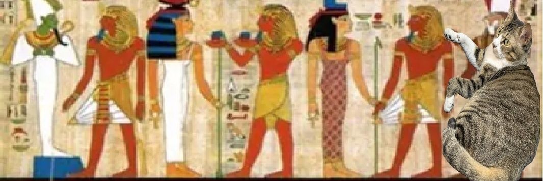 ZAKIちゃん banner