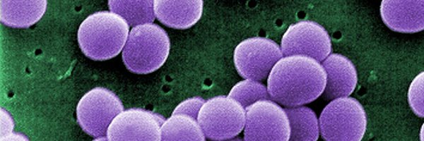 microclaire Profile Banner