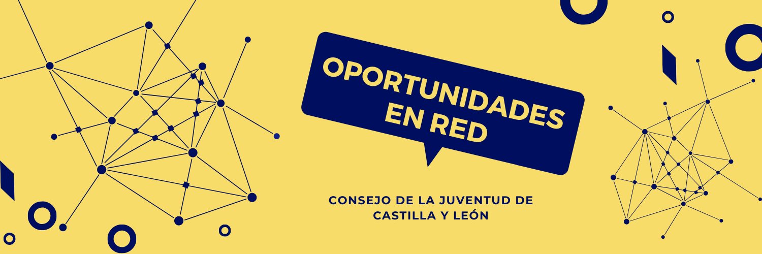 Consejo de la Juventud de Castilla y León banner