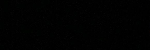 BWAHA's profile banner image