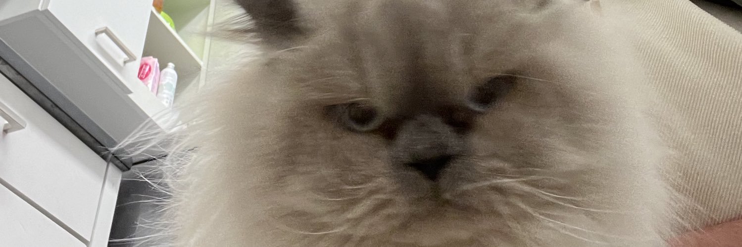 KingRob325's profile banner image
