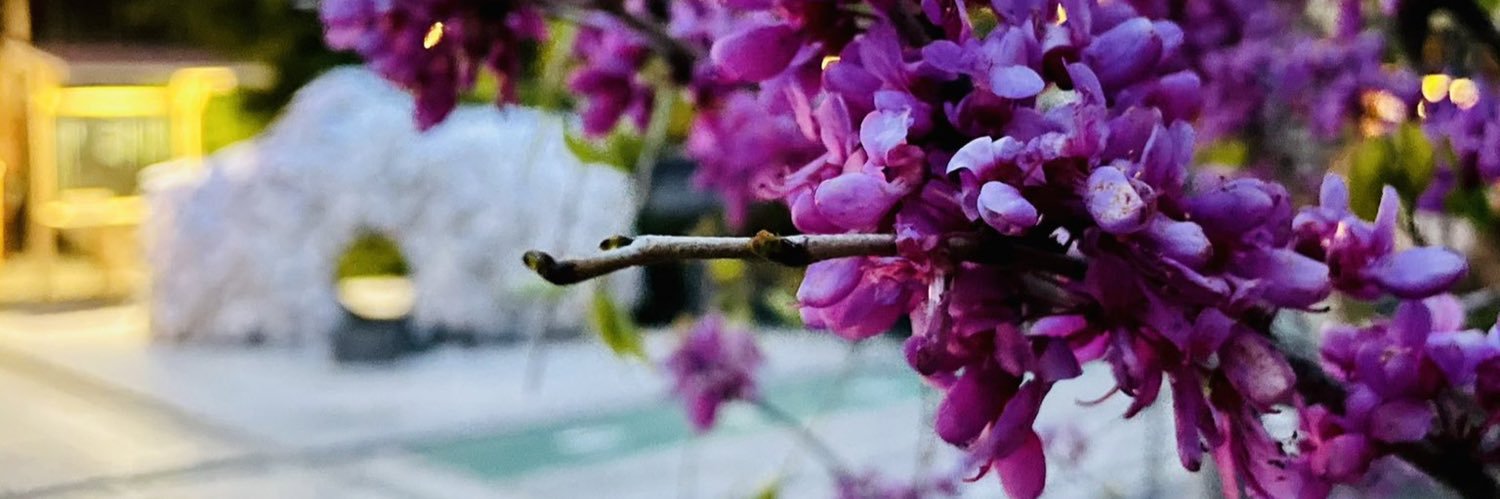 なしのうみ banner