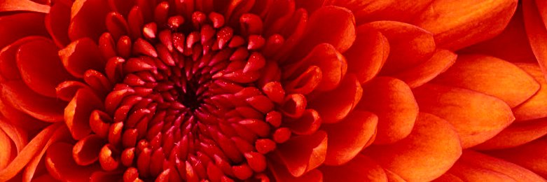 1071KOUJ's profile banner image