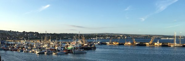 theloz Profile Banner