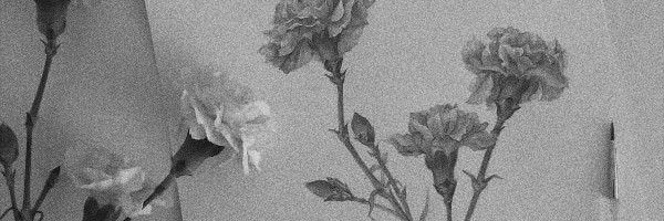 ‍ ‍ ‍ ‍𝙣𝗼𝘁𝘁 ,‍ 𝗮𝙢𝗯𝗿𝗼𝘀𝗲. banner