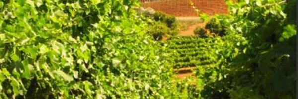 chainofponds Profile Banner