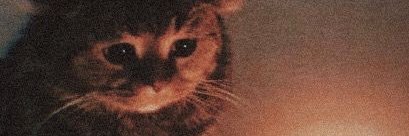 Hatiiceceliik's profile banner image