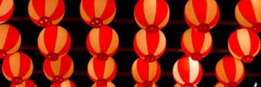 STBchasoko's profile banner image