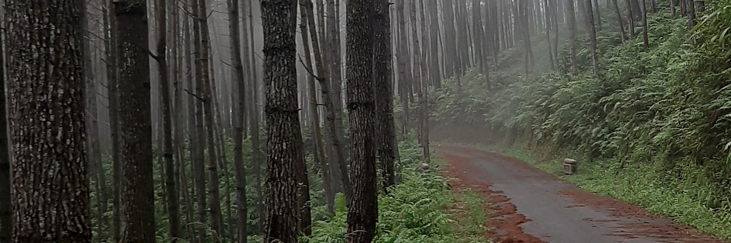 karsomd's profile banner image