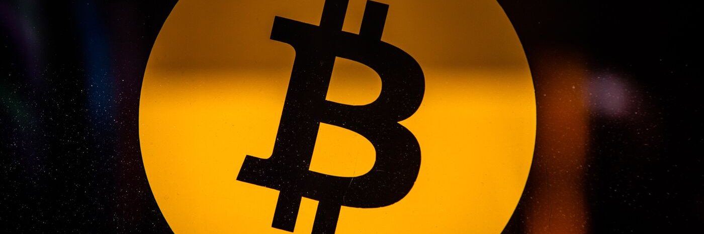 piccasin's profile banner image
