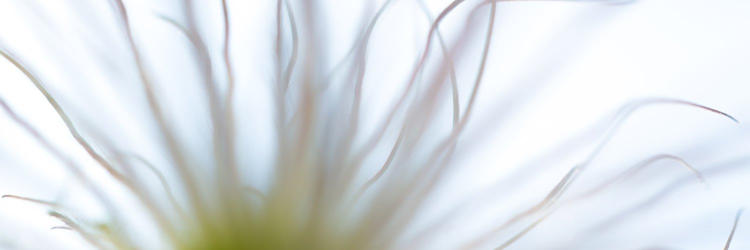 ChristianeWindhausen banner