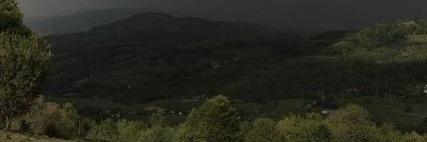 lilac_tinted Profile Banner