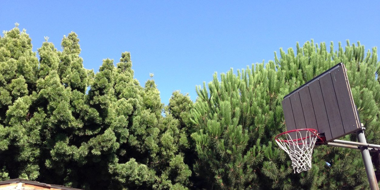Joshsince94's profile banner image