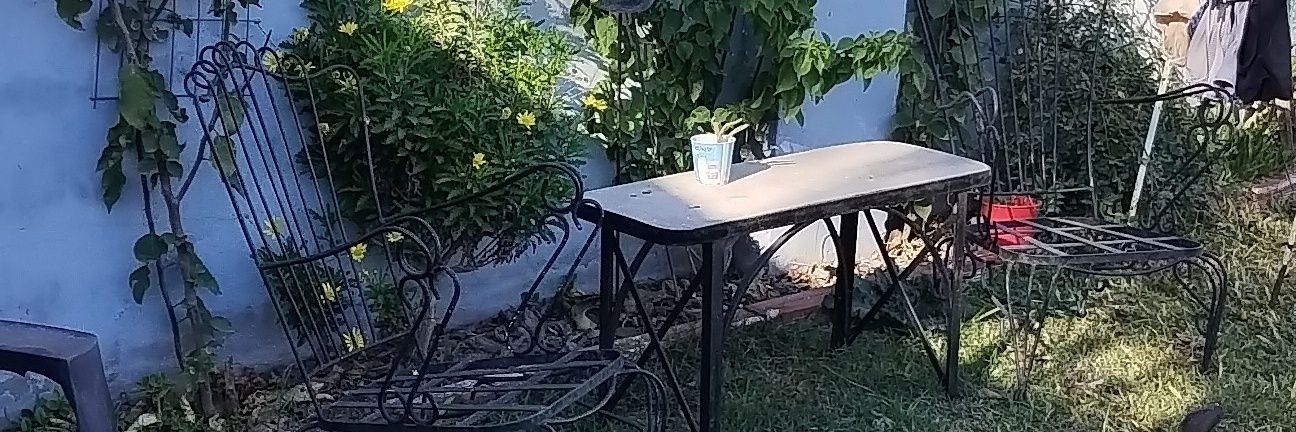 DanielaDiNunzi7's profile banner image