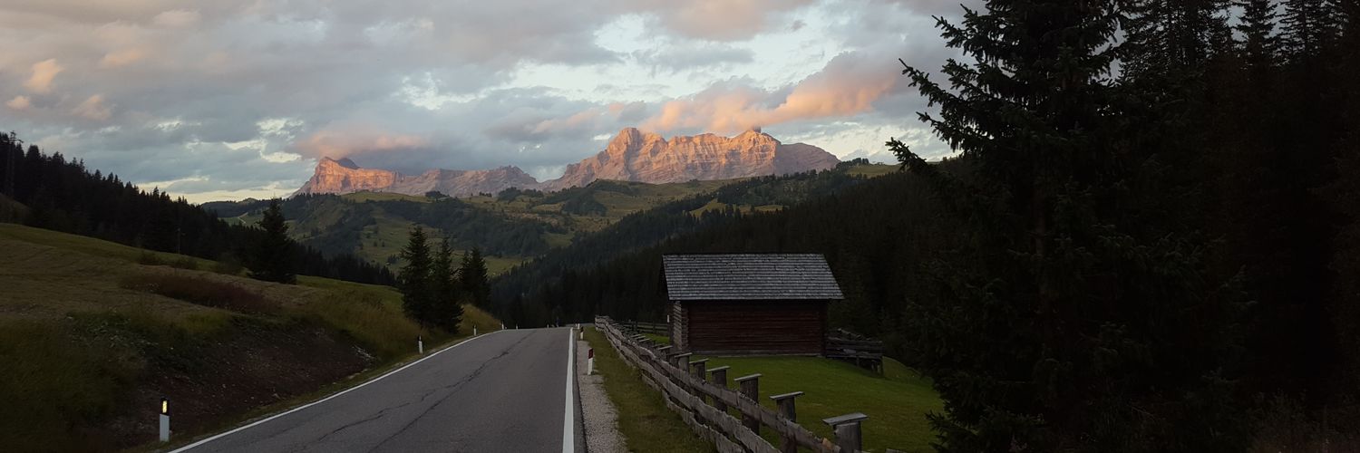 Andrea Berton banner