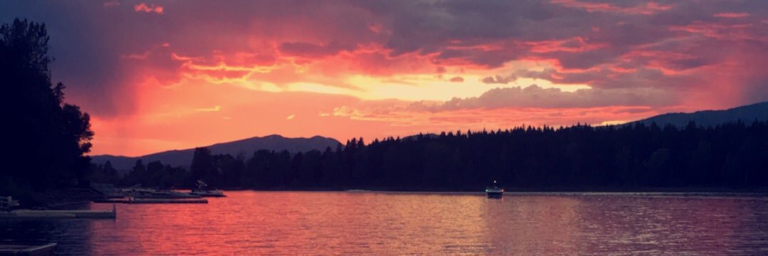 Rexcarp03's profile banner image