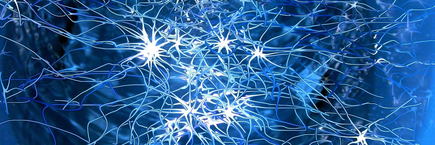 Marcos M. Campos banner