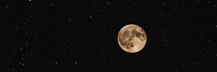 brainbil3's profile banner image