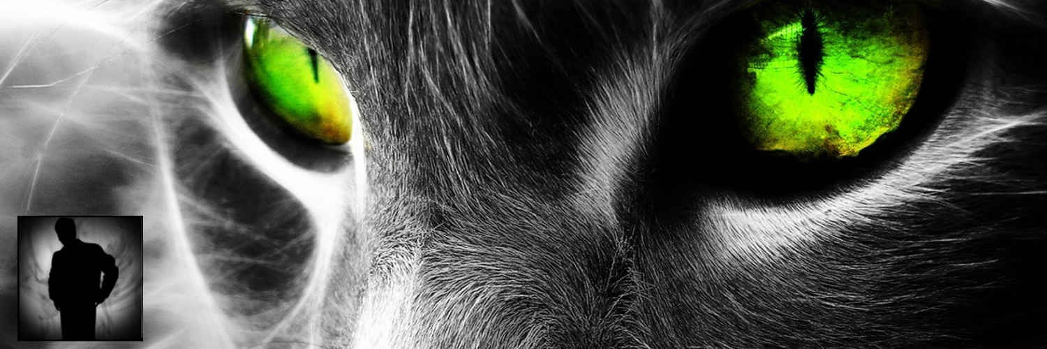 dmirix's profile banner image