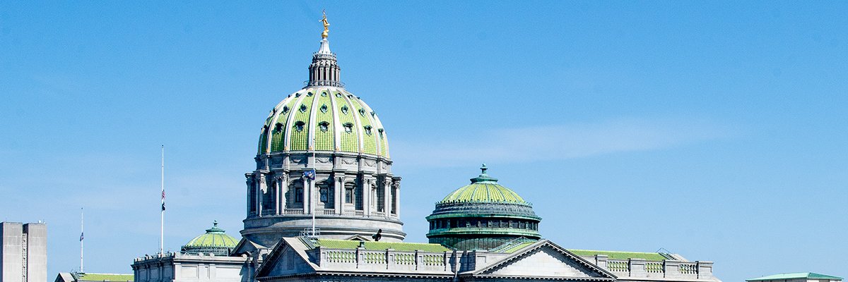 Rep. Anthony Bellmon's banner