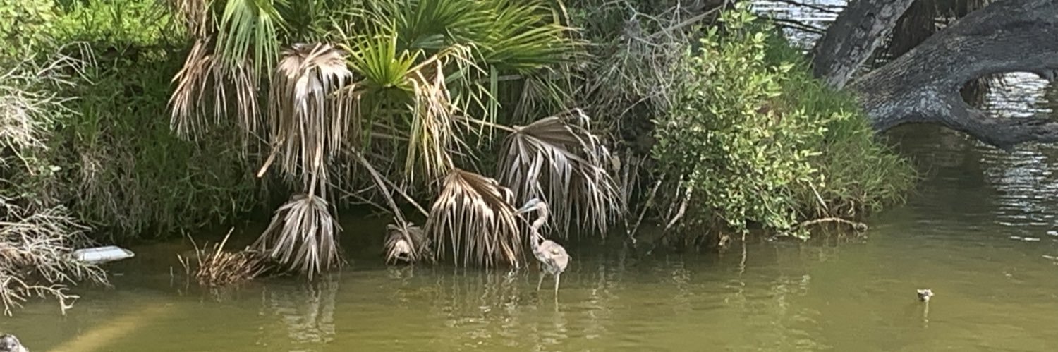 A Complete Nobody banner