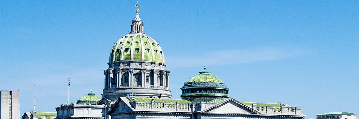 Rep. Justin Fleming's banner