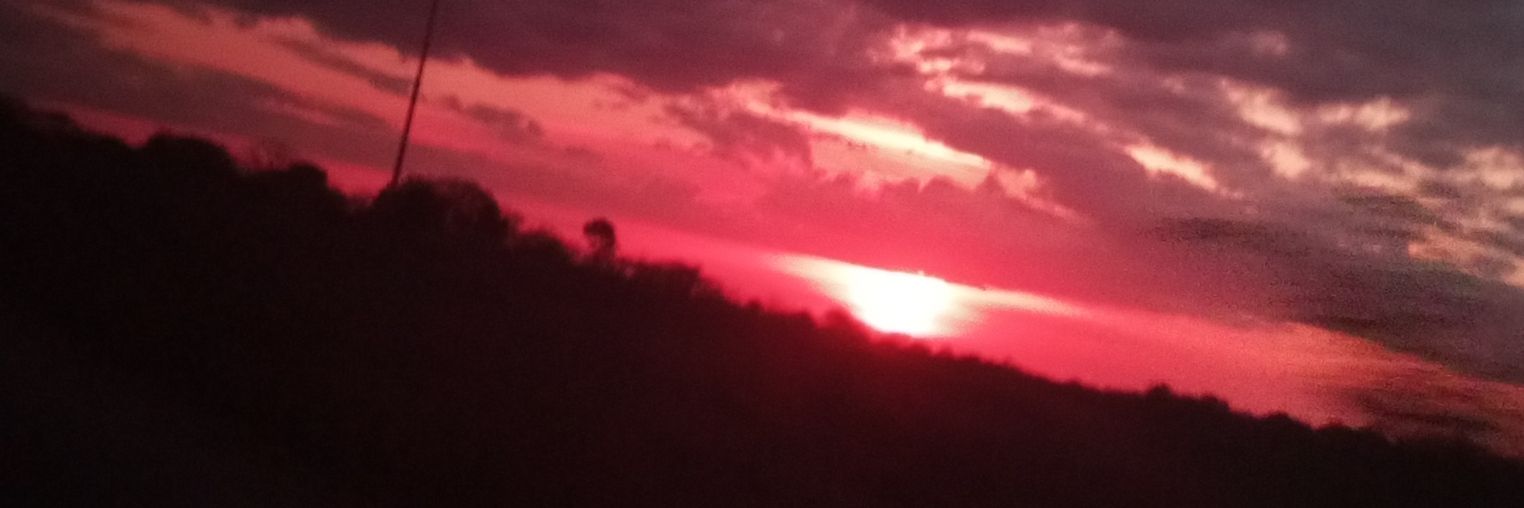 @Lamami 💜🩷🤍 banner