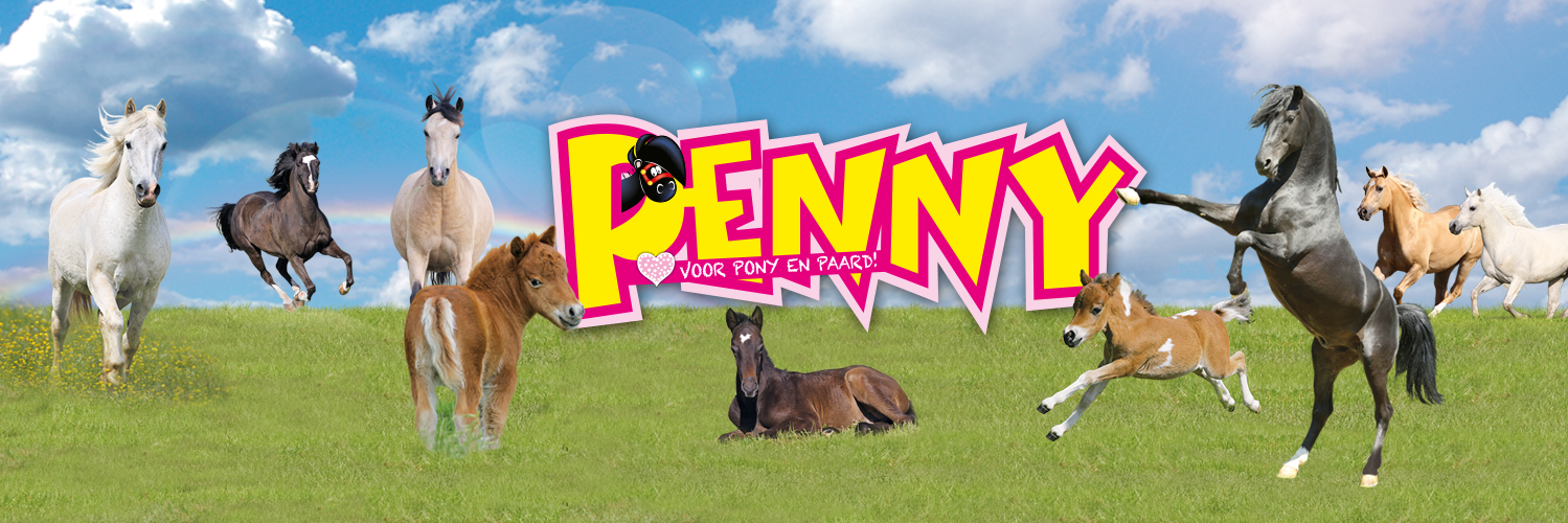 Penny tijdschrift banner