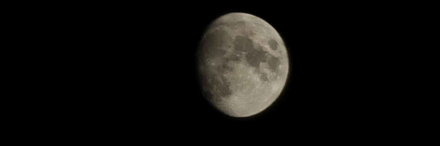 li__an__0's profile banner image