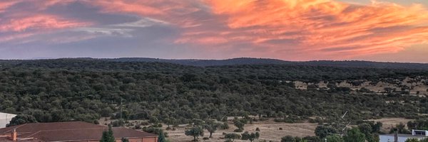 CeipAlberti Profile Banner