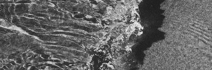 sofiadangelo's profile banner image
