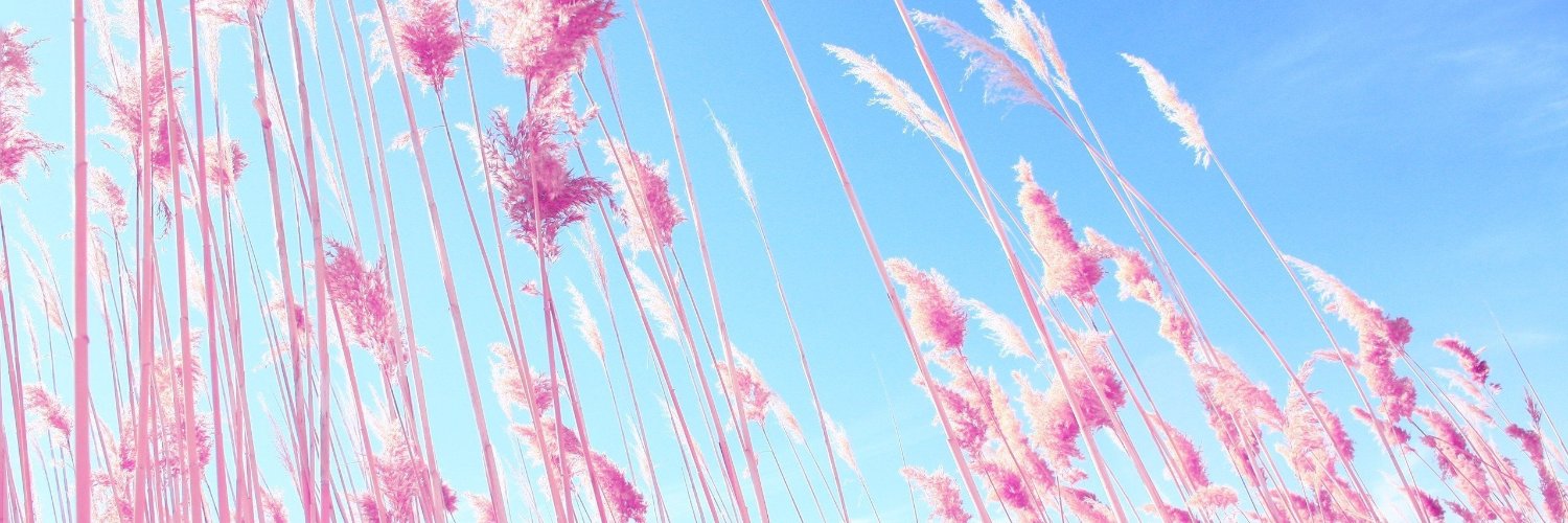 RoseBlue0101's profile banner image