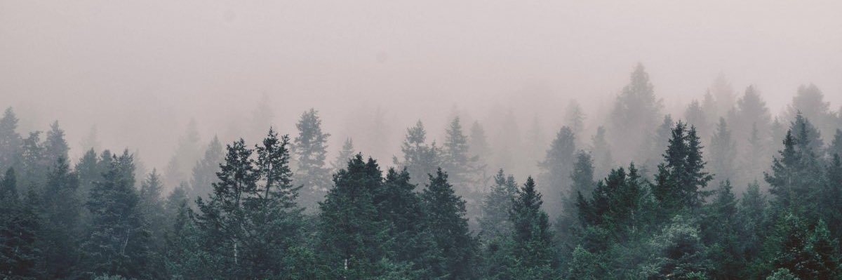 vladljz's profile banner image