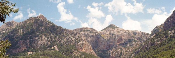 monty10x Profile Banner