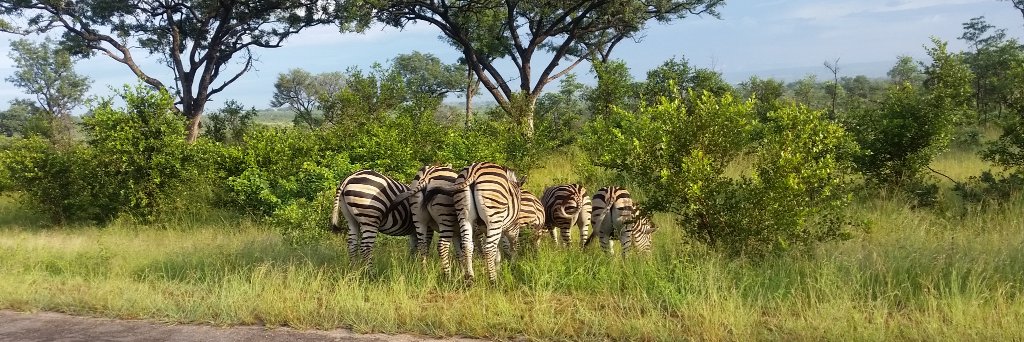 Xitsonga_bae's profile banner image