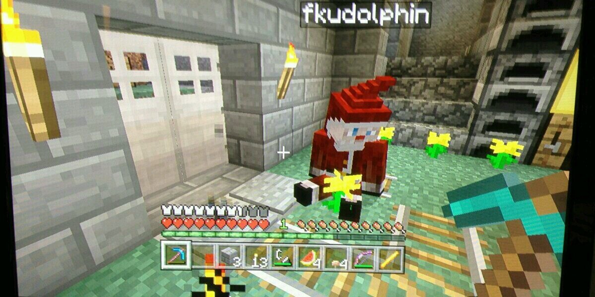 fkudolphin's profile banner image