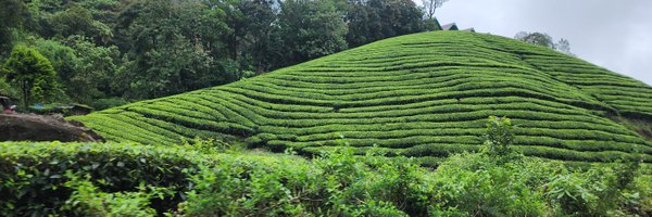 ForeverDevilish Profile Banner