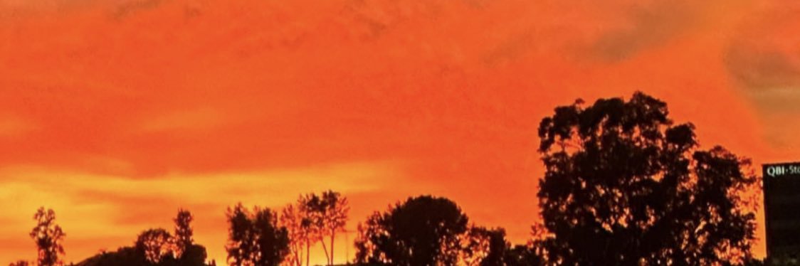 meechietheplug's profile banner image