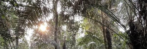 Kirby_Robinson_ Profile Banner