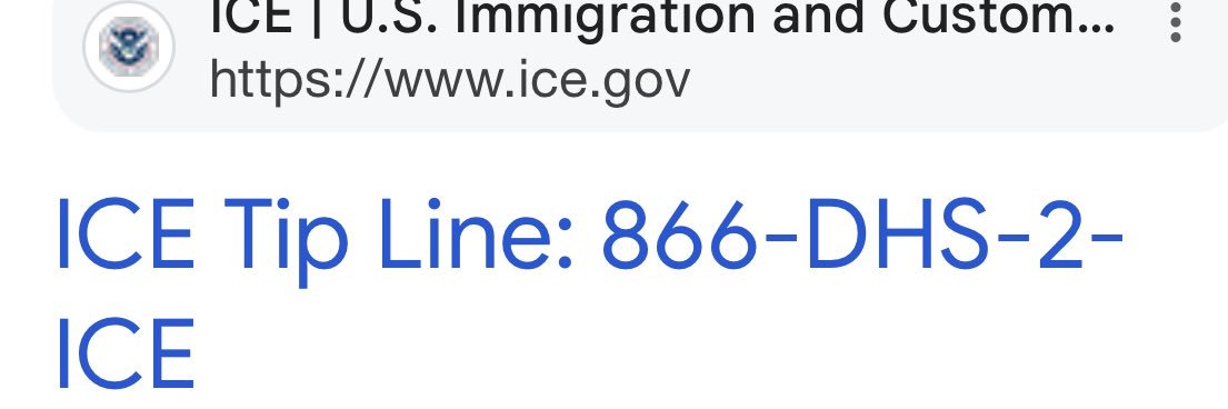 Dallas Asst Border Czar's banner