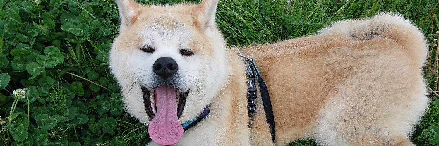 shinyaaa0617's profile banner image